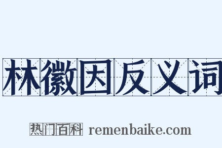 林徽因反义词是什么意思的图片